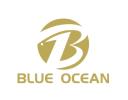 Blue Ocean Capital Group Inc. logo